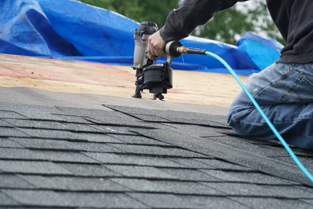 Best Gutter Installation and Roofing  in Brighton, MI